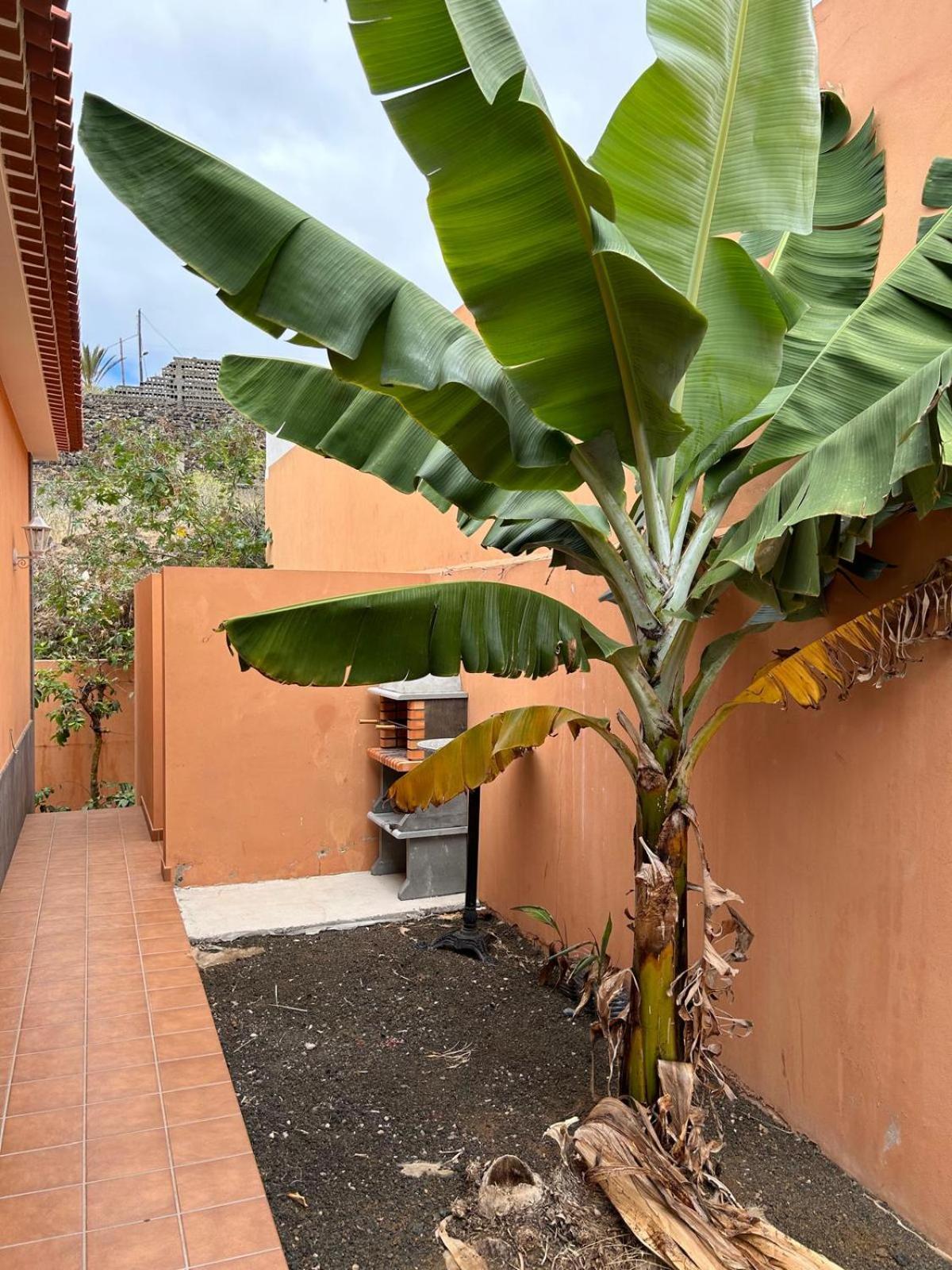 Chalet Piscina Privada Max 26º Jardin, Tranquilidad Caleta de Interián 외부 사진